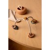 Siliconen activiteitenspeeltje  - Soren suction toy sandy multi mix 